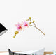 Pink Phalaenopsis Orchid Wall Decal