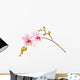 pink phalaenopsis orchid Wall Decal