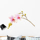 pink phalaenopsis orchid Wall Decal