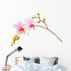 pink phalaenopsis orchid Wall Decal