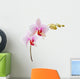 Phalaenopsis Orchid Wall Decal