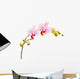 Moth Orchids - Phalaenopsis Wall Decal