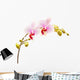Moth Orchids - Phalaenopsis Wall Decal