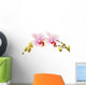 Phalaenopsis Orchid Branch Wall Decal