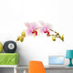 phalaenopsis orchid branch Wall Decal