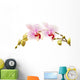 phalaenopsis orchid branch Wall Decal