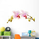 phalaenopsis orchid branch Wall Decal