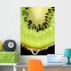 juicy Kiwi fruit Wall Mural
