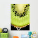 juicy Kiwi fruit Wall Mural