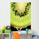 juicy Kiwi fruit Wall Mural