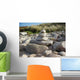 Olympus Digital Camera Wall Mural