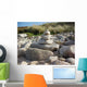 Olympus Digital Camera Wall Mural