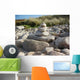 Olympus Digital Camera Wall Mural