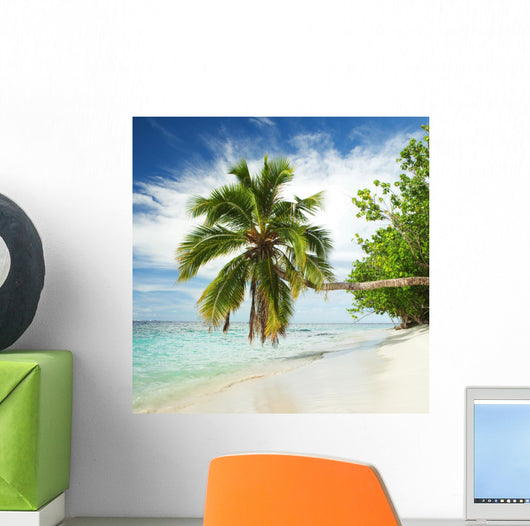 Tropical Beach with Palm