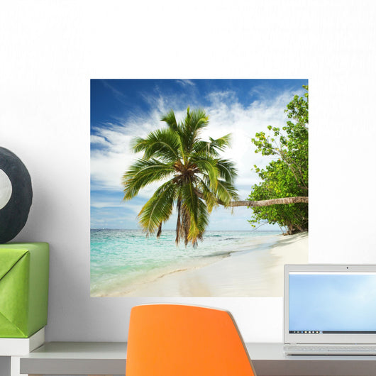Tropical Beach with Palm