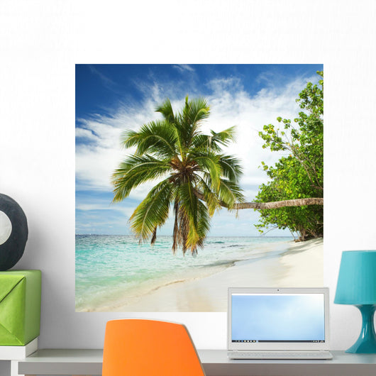 Tropical Beach with Palm