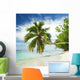 Tropical Beach with Palm