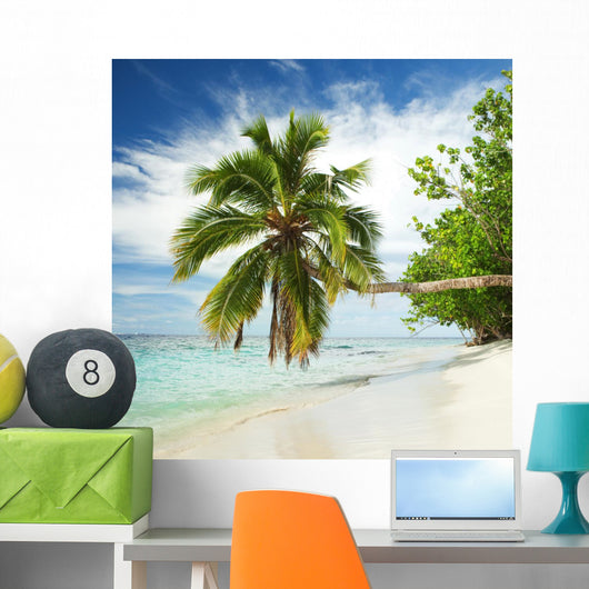 Tropical Beach with Palm