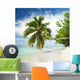 Tropical Beach with Palm