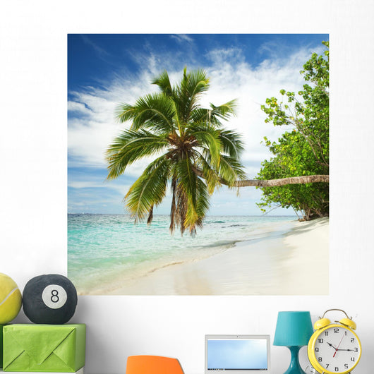 Tropical Beach with Palm