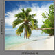 Tropical Beach with Palm