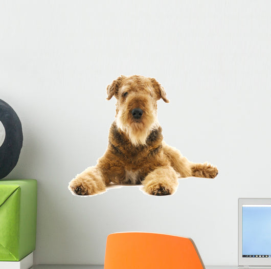 Dog Airedale Wall Decal