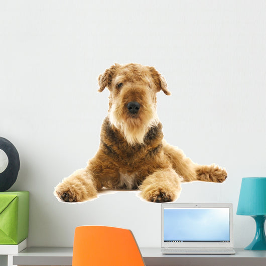 Dog Airedale Wall Decal