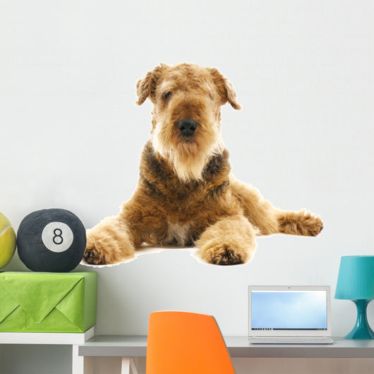 Dog Airedale Wall Decal