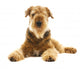 Dog Airedale Wall Decal
