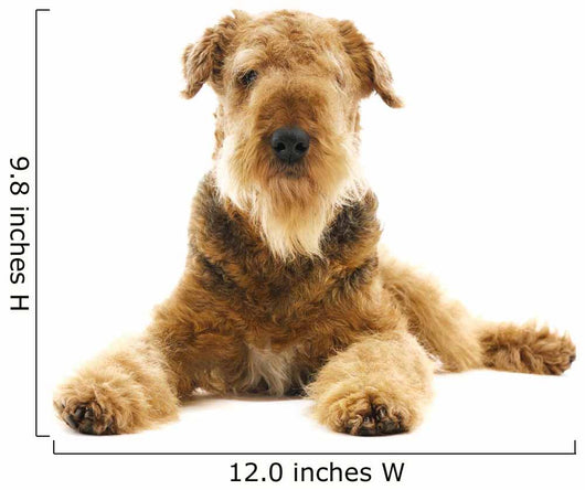 Dog Airedale Wall Decal