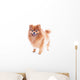 Pomeranian Dog Wall Decal