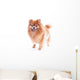 Pomeranian Dog Wall Decal