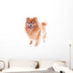 Pomeranian Dog Wall Decal