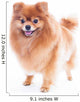 Pomeranian Dog Wall Decal