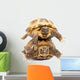 Pair of Russian Tortoises or Central Asian Tortoises Wall Decal