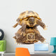 Pair of Russian Tortoises or Central Asian Tortoises Wall Decal
