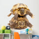 Pair of Russian Tortoises or Central Asian Tortoises Wall Decal