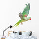 Big Green Ringed or Alexandrine Parakeet Wall Decal