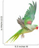 Big Green Ringed or Alexandrine Parakeet Wall Decal