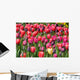 Tulip glory Wall Mural