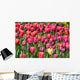 Tulip Glory Wall Mural