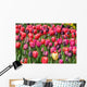 Tulip glory Wall Mural