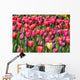 Tulip glory Wall Mural
