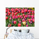 Tulip glory Wall Mural