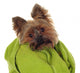 Yorkshire Terrier with Green