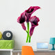 Calla Lilies Wall Decal