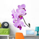 Light purple orchid isolated on white Wall Decal