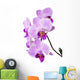 Light purple orchid isolated on white Wall Decal
