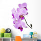 Light purple orchid isolated on white Wall Decal