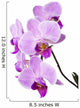 Light purple orchid isolated on white Wall Decal